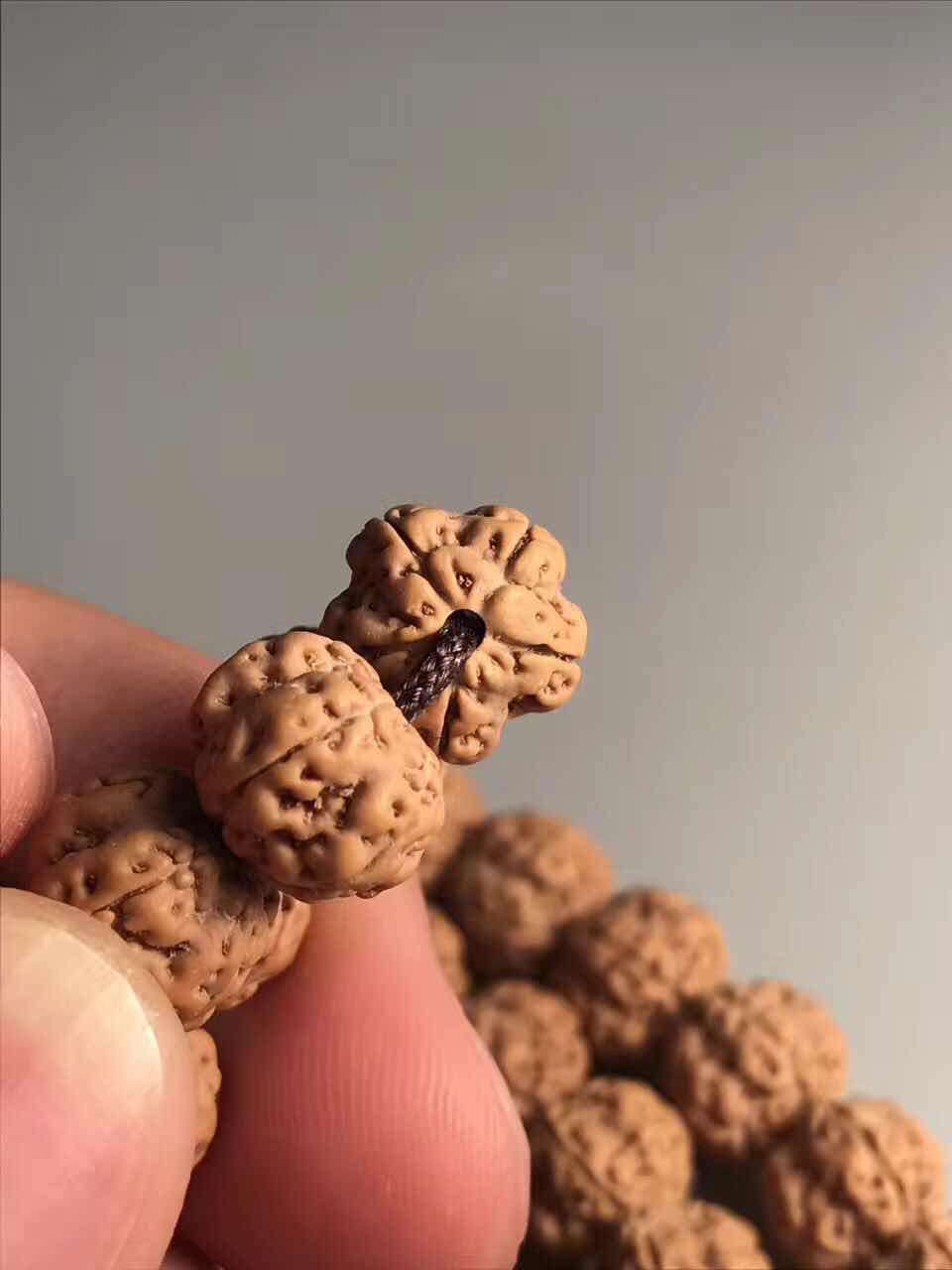 史上最全的小金刚菩提子介绍，再也不用担心被忽悠了！