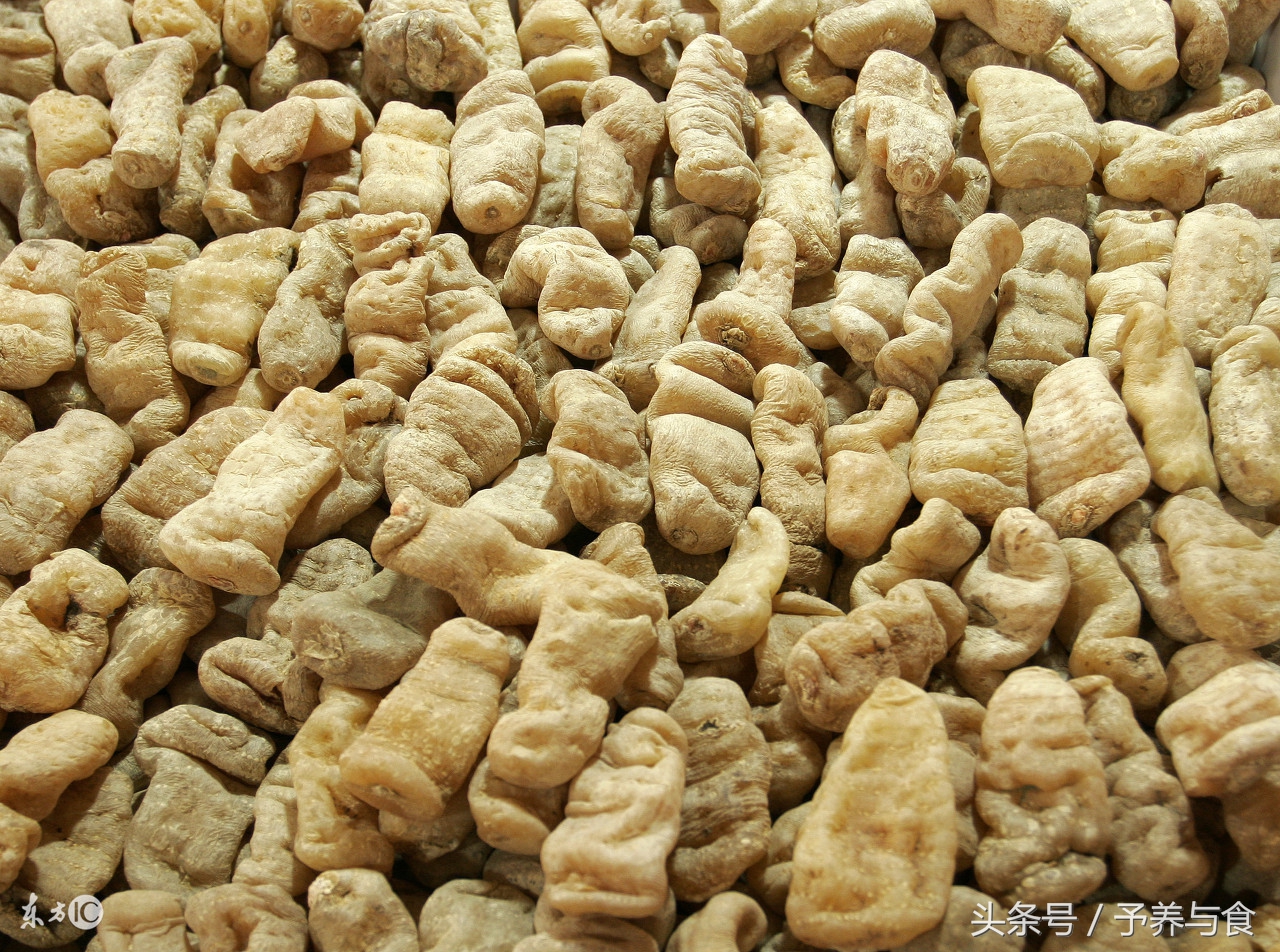 天麻长啥样天麻三种人不宜吃 (天麻是补品吗哪几种病的人不能吃)