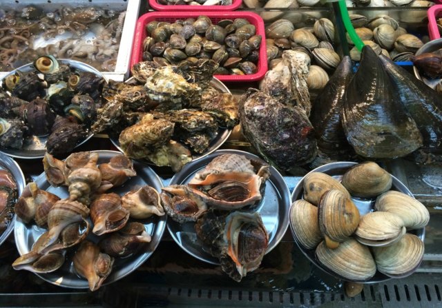 阳江海陵岛旅游攻略一天多少钱,海陵岛自驾游最佳路线攻略