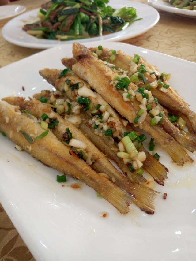 阳江海陵岛旅游攻略一天多少钱,海陵岛自驾游最佳路线攻略