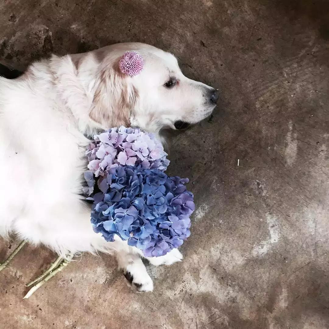 韩国攻略必备,想去韩国玩要准备什么