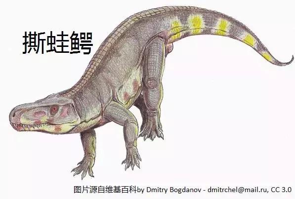 恐龙时期的恐鳄,恐龙时期的扬子鳄