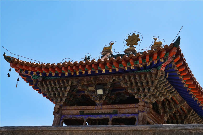 走进塔尔寺感受最虔诚的信仰,塔尔寺虔诚的佛礼