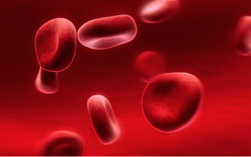 血常规报告单数据可以看出贫血,地中海贫血的血常规报告单怎么看