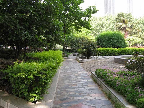 南京市九中怎么样,南京第九初级中学和九中