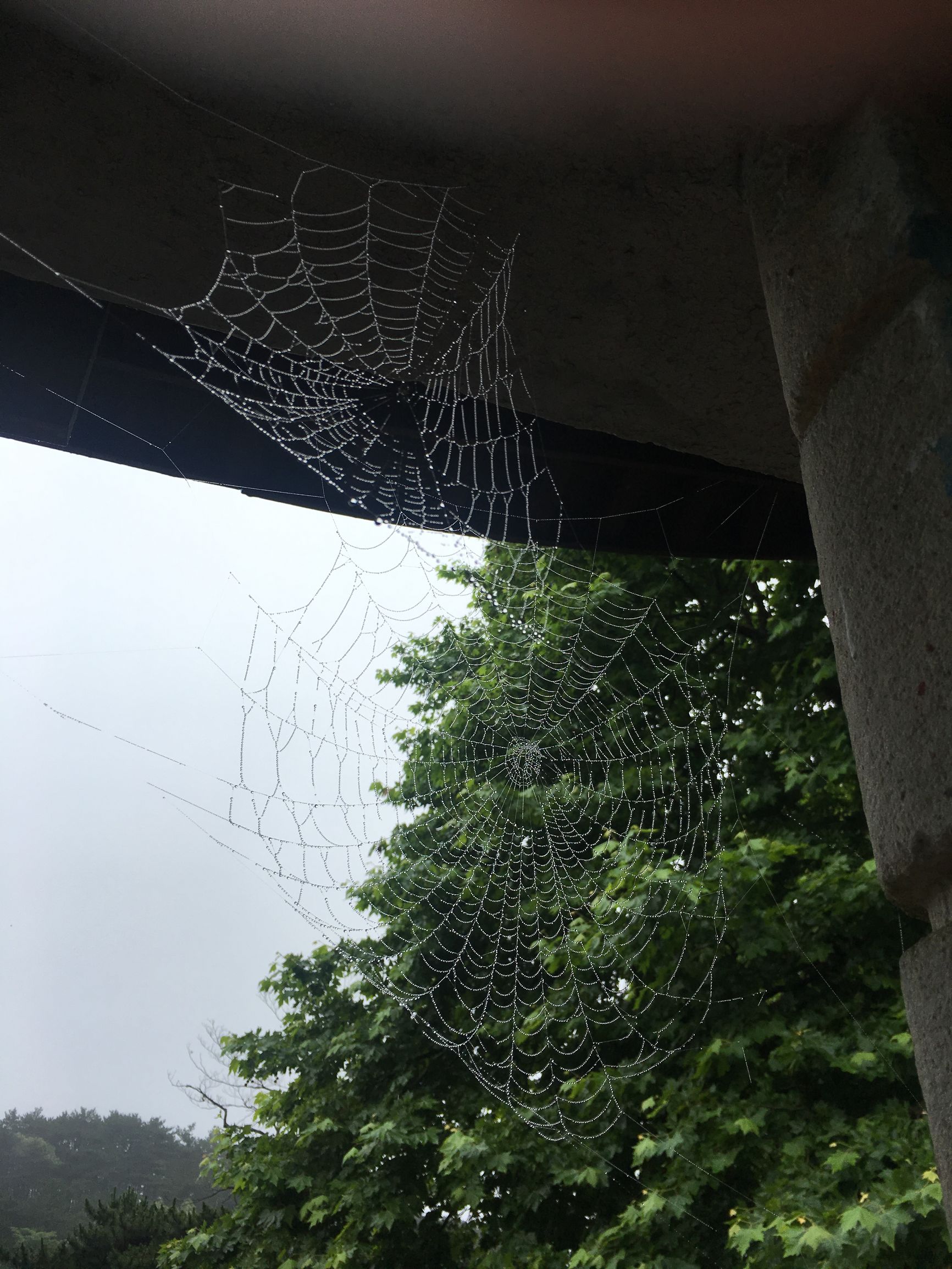 庐山云雾旅游攻略 (庐山云雾讲解)