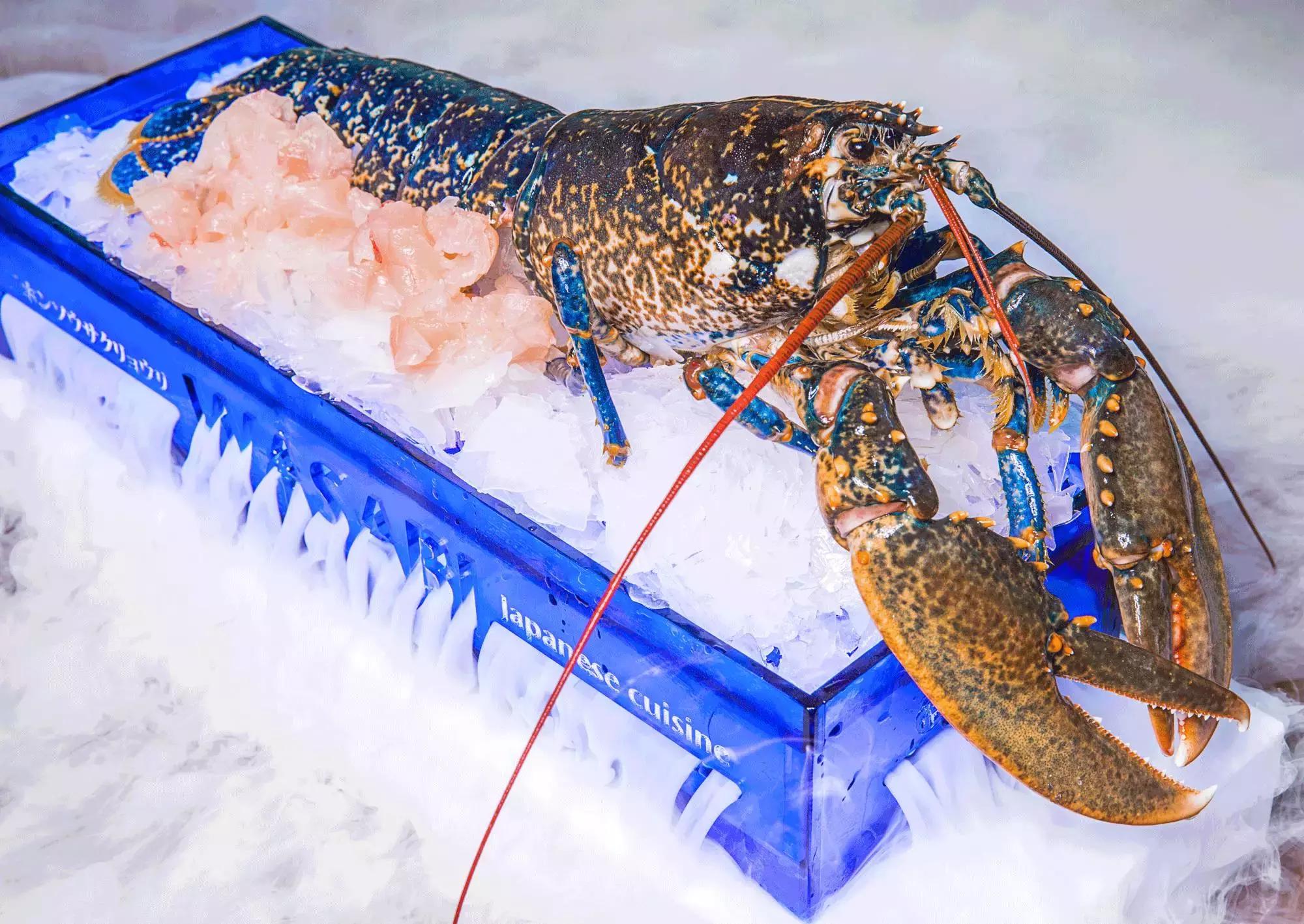 珍稀鱼子酱,波龙鱼子酱