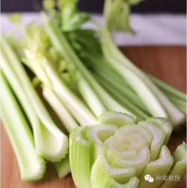 阳台种菜的土没有营养了怎么办,种子种菜阳台教程