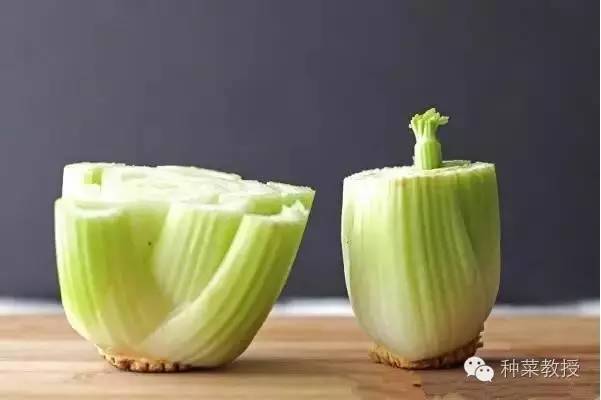 阳台种菜的土没有营养了怎么办,种子种菜阳台教程