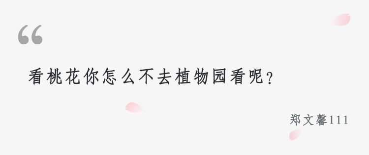 电影《三生》是真烂还是尬黑？