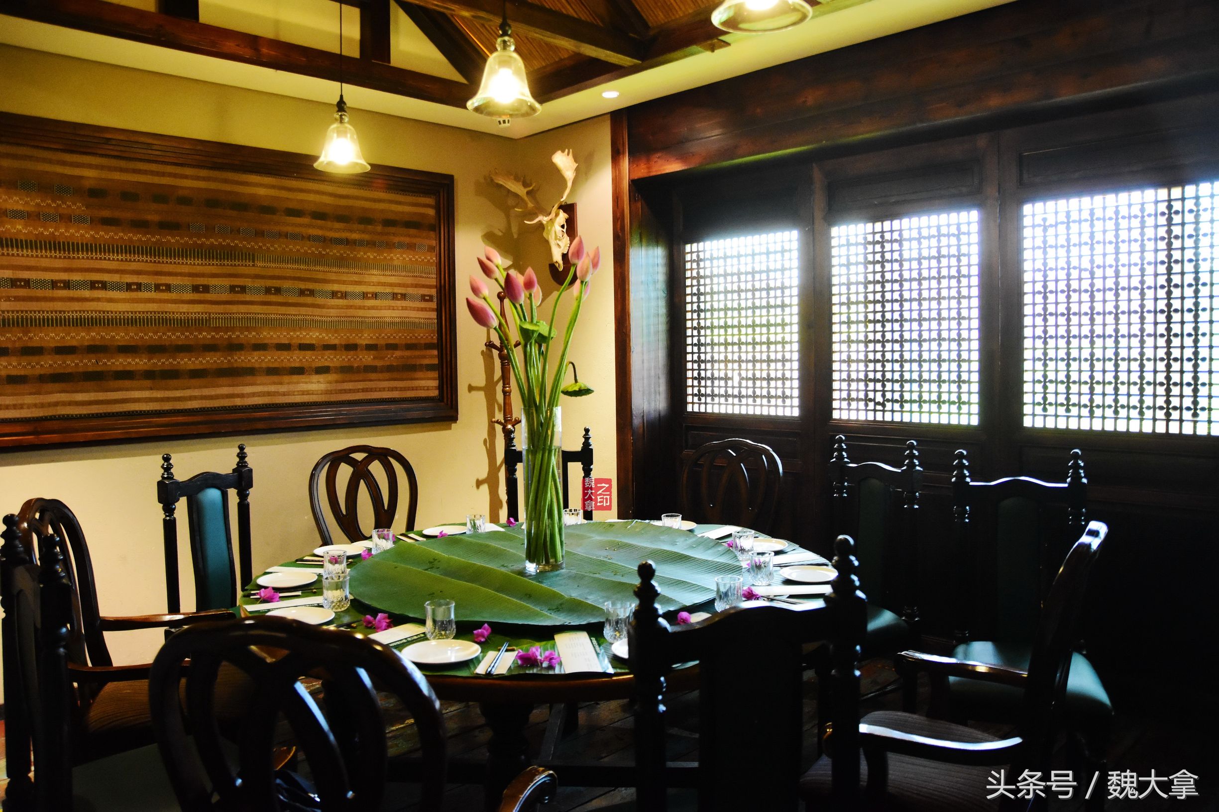 野生山菌冒头梢，婷婷露，小蛮腰-中8楼山野之味化珍馐