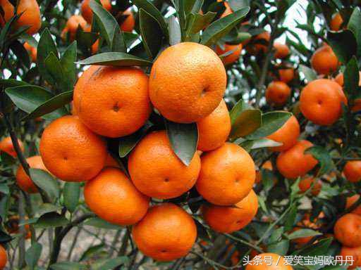 那些说孕妇矫情的人,那些说别人孕期矫情的人