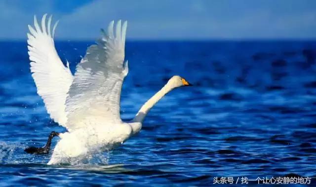 1-3月份山东适合去哪旅游,山东1月2日旅游攻略大全