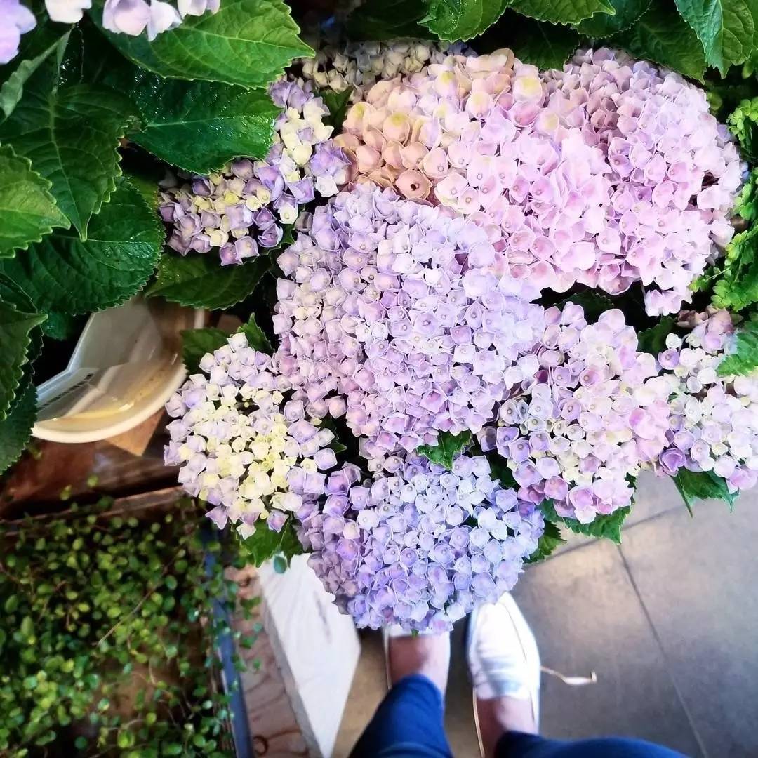 厌烦买买买后的香港还能玩什么？99%的旅游指南都看不到这些