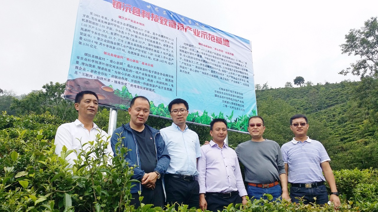 扶贫云南茶,云南茶叶今日热点
