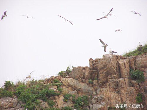 所有的盐是不是一样咸,有一种盐很细但是很咸