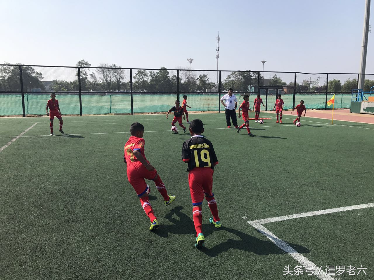 2017瀹嬪簡榫勬澂,2024瀹嬪簡榫勬澂鍙傝禌缁撴灉