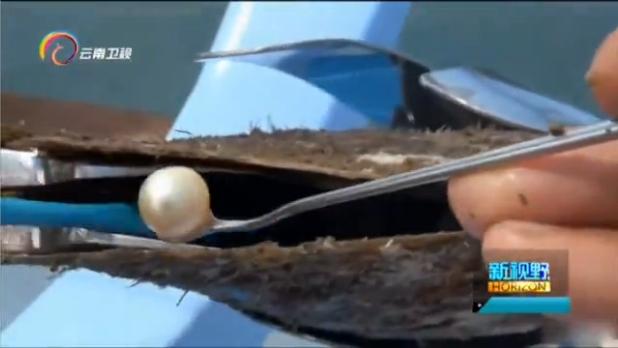 新视角淘宝分店,新视野新观察