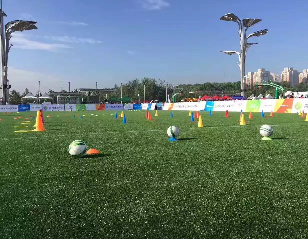 鸟巢和水立方相互照应,鸟巢和水立方好看吗