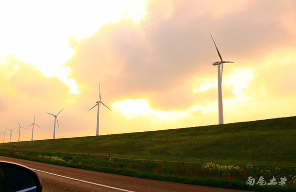 荷兰现在能不能去,什么时候不能去荷兰