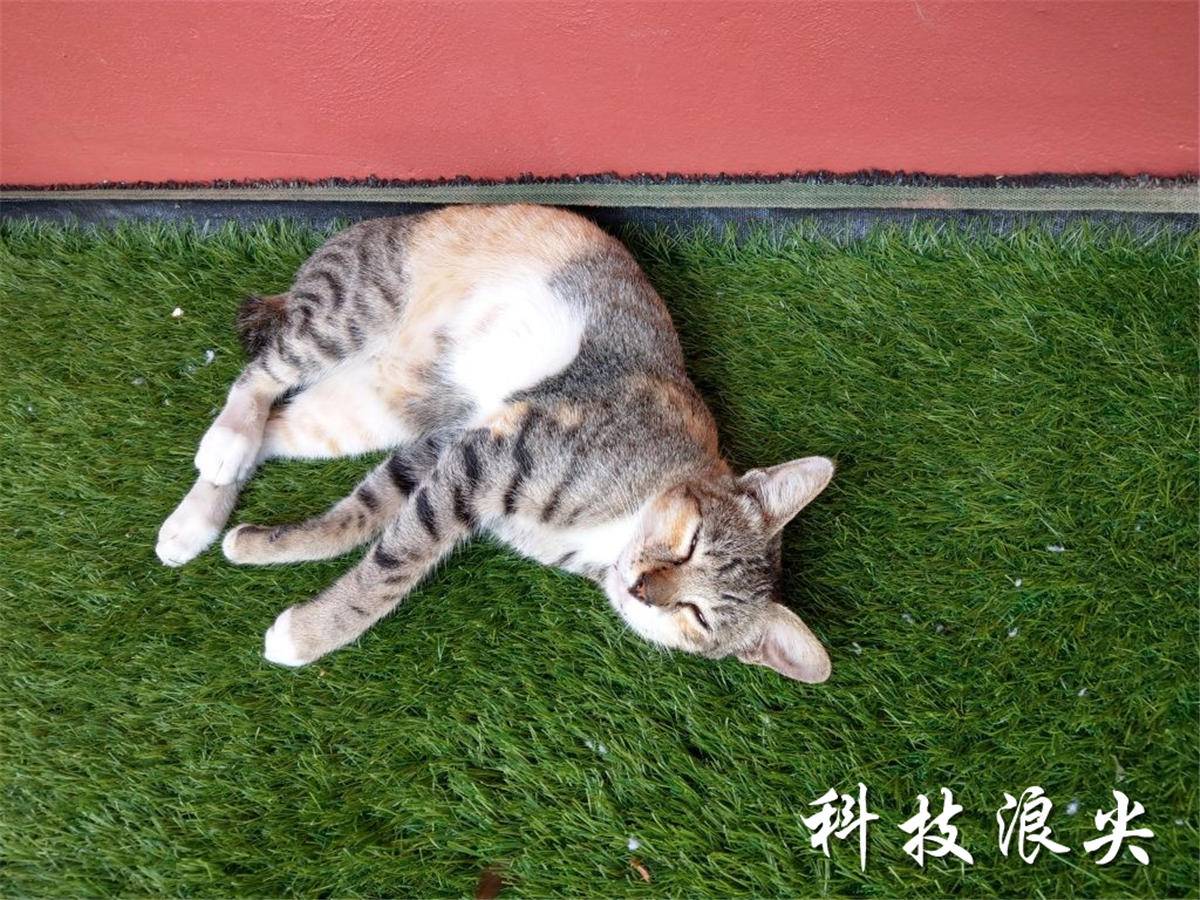 4599元的HTCU11值不值?拍照样张+跑分实测