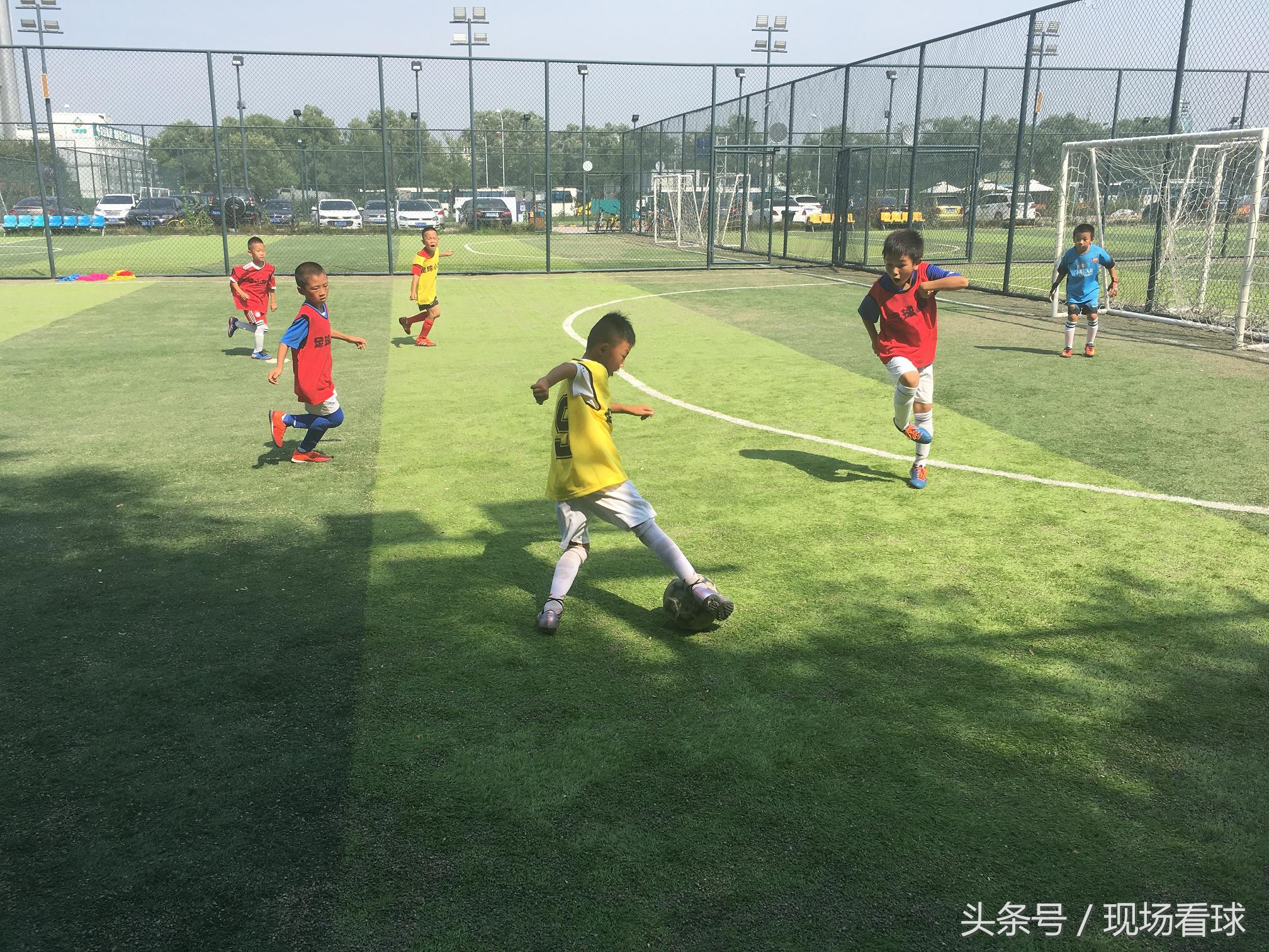 激情星期六：京鲁大战激烈精彩，足球小将厉害可爱！｜看球记