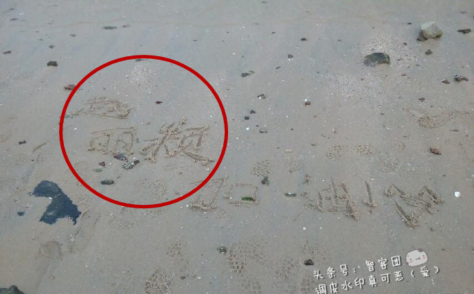 男粉丝不顾酷暑，花1天在海边为赵丽颖堆爱心，被熊娃全部踩坏