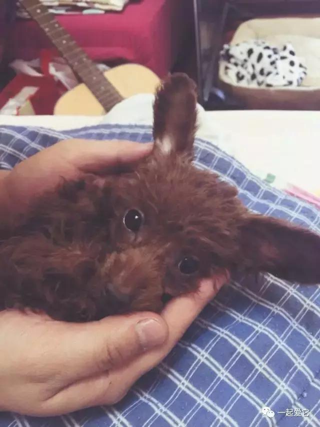 宠爱小故事大全,宠爱故事免费阅读