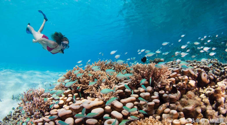 78假期旅游定制,马尔代夫南马累环礁