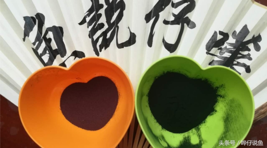 观赏鱼怎么喂鱼粮最好,观赏鱼最好喂什么饲料