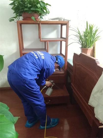 专业除甲醛公司是怎么去甲醛的,除甲醛最有效方法哪家专业一点