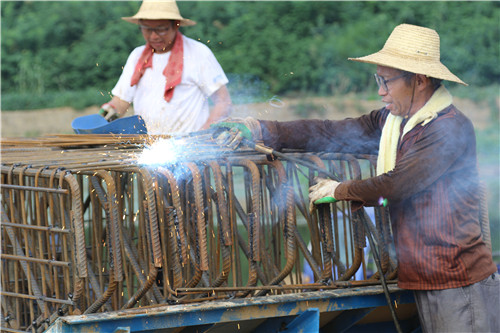 光山县官渡河风景,光山官渡河沙滩公园荷花