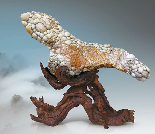 长满小疙瘩的石头,浑身起的密密麻麻的疙瘩不痒