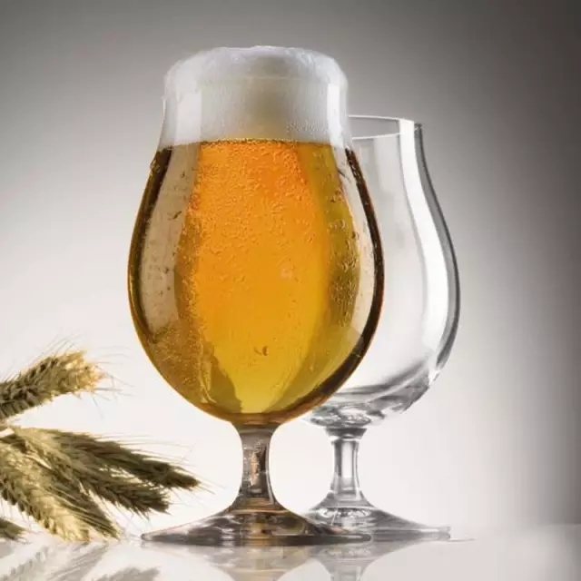 像行家一样品精酿!|BeerTasting