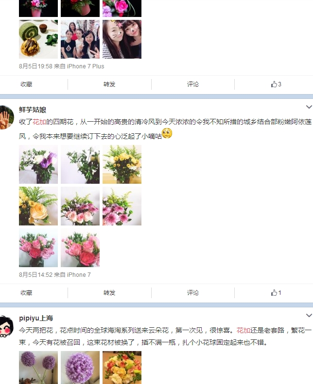 鲜花电商花加停业整顿,鲜花电商花加宣布重启