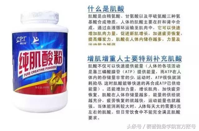 肌酸的作用是长肌肉还是减脂肪,肌酸的作用是提高健身效果吗