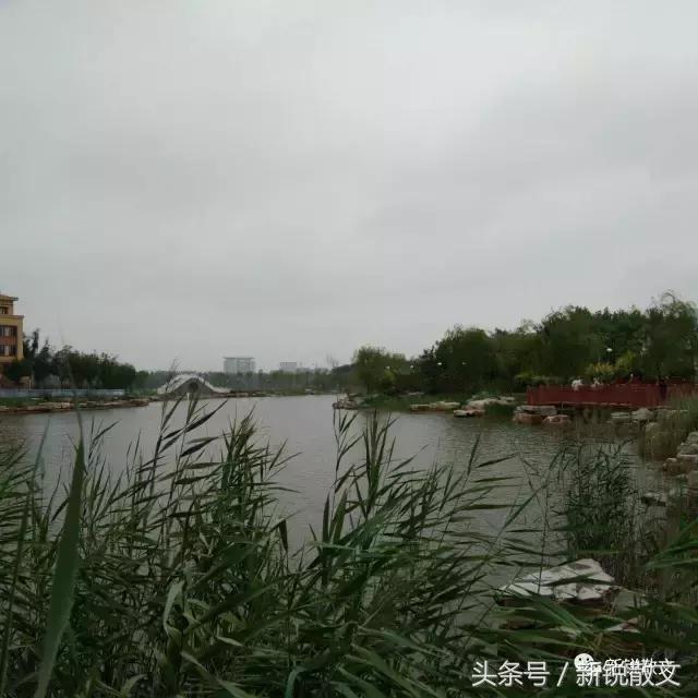 在齐国的土地上走了走