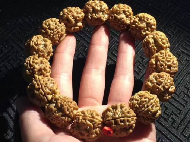 极品金刚菩提怎样挑选，金刚菩提籽多少钱一颗？你想知道的都在这