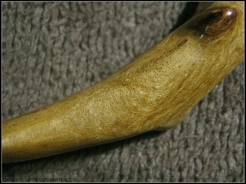 金丝柳海柳烟嘴,海柳金丝柳烟嘴图片