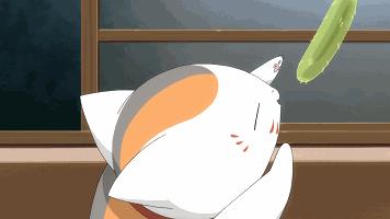 Steam被墙腾讯喊冤，韩国队吊打欧洲四国横扫《守望先锋》