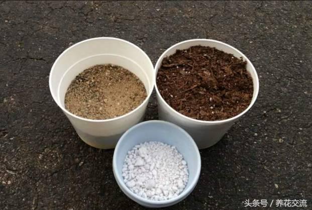 花土通用营养土怎么使用,花盆中的营养土是如何配制的