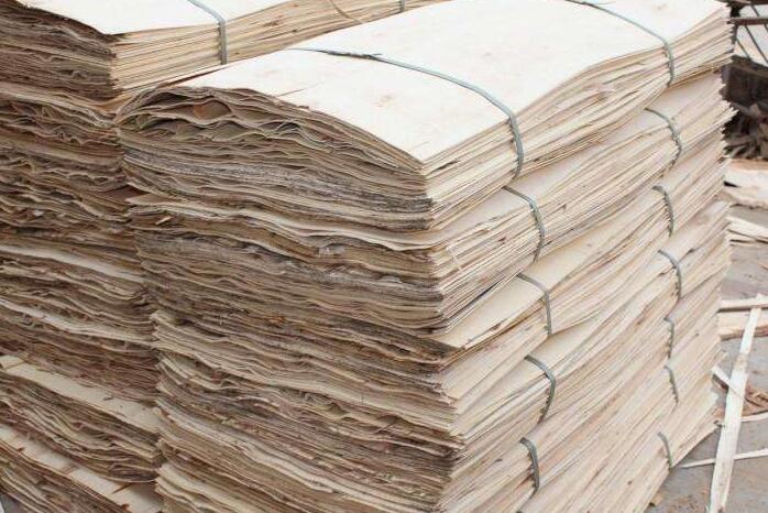 桉木单板和杨木单板区别,杨木品种和木质介绍