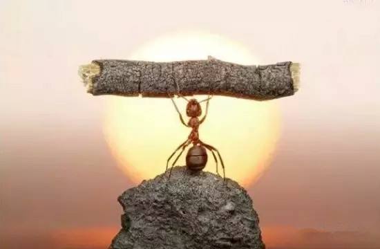 怎么让杂货店老板卖给你东西，觉得赚到了，但你又能省钱