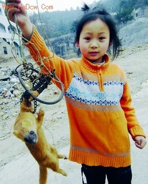 鬼吹灯之黄皮子坟黄皮子放了没有,黄皮子坟真实民间传说