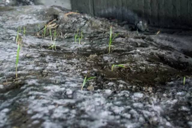 如果你是个不爱吃醋的人，那你一定还没遇到——TA！哈哈哈