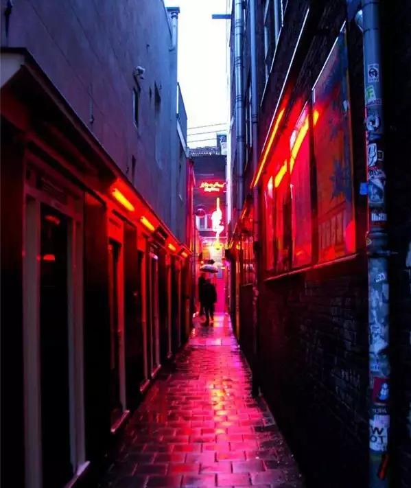 荷兰现在能不能去,什么时候不能去荷兰