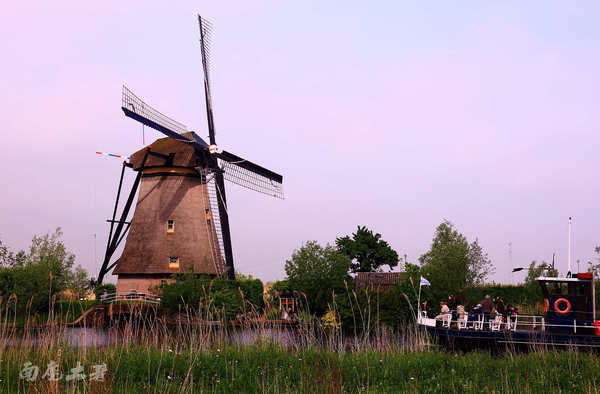 荷兰现在能不能去,什么时候不能去荷兰