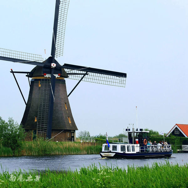 荷兰现在能不能去,什么时候不能去荷兰