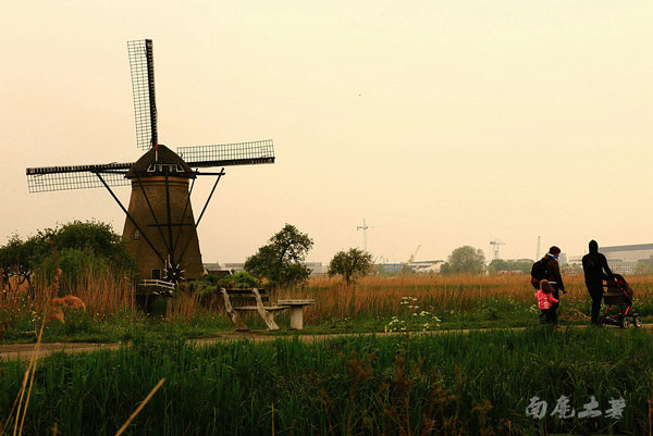 荷兰现在能不能去,什么时候不能去荷兰