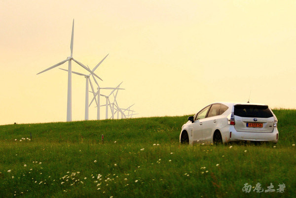 荷兰现在能不能去,什么时候不能去荷兰